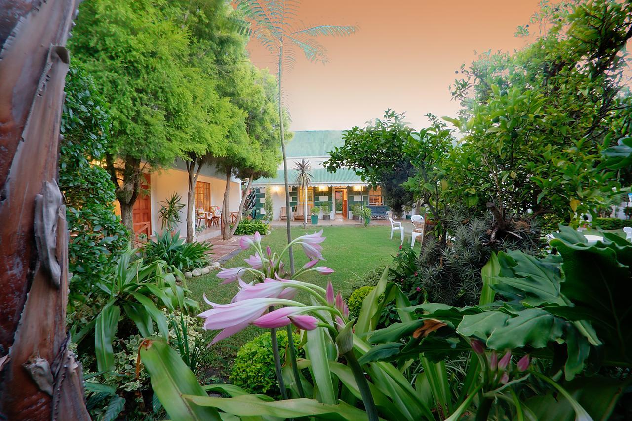 Hotel Robertson Boutique Backpackers Exteriér fotografie
